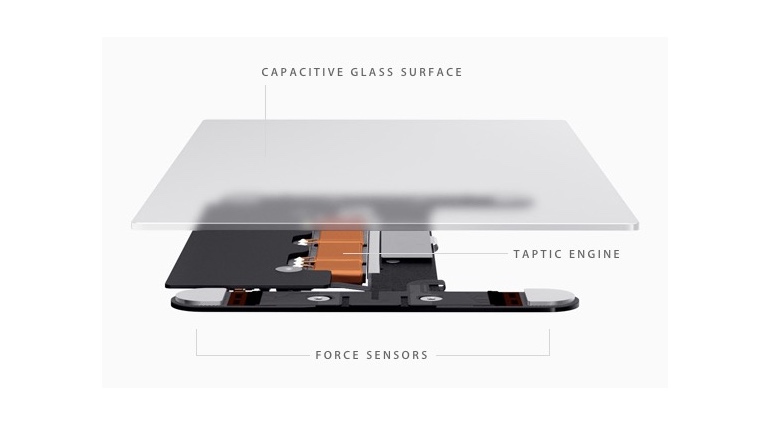 Close up of MacBook Force Touch trackpad